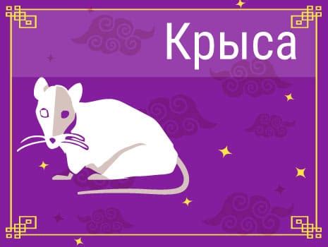 Значение часа крысы в китайском гороскопе