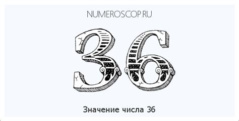 Значение числа 36