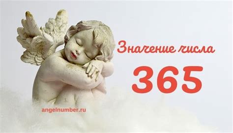 Значение числа 365 в интернете