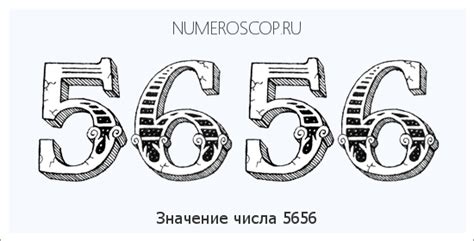 Значение числа 5656