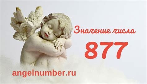 Значение числа 877 в истории и символике