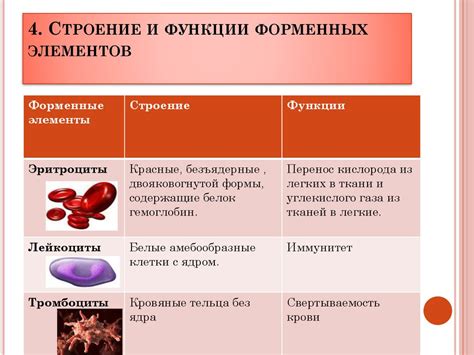 Значение чистоты крови для организма