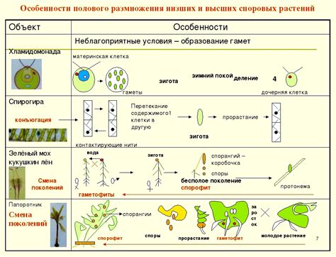 Значение эволюции для растений