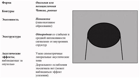 Значение эхопризнаков