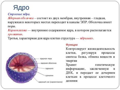 Значение ядра для эффективности системы