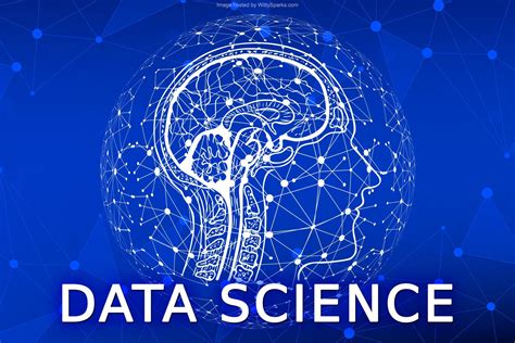 Значение data science в современном мире