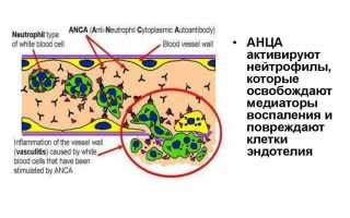 Значения и интерпретация символа "появление крови в сновидениях"