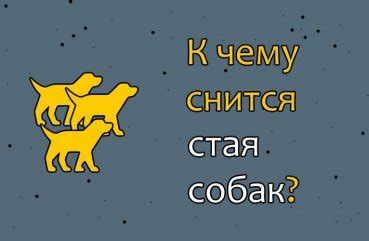 Значения сновидения о краже щенка