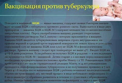 Значимость БЦЖ в профилактике туберкулеза и необходимость его исследования