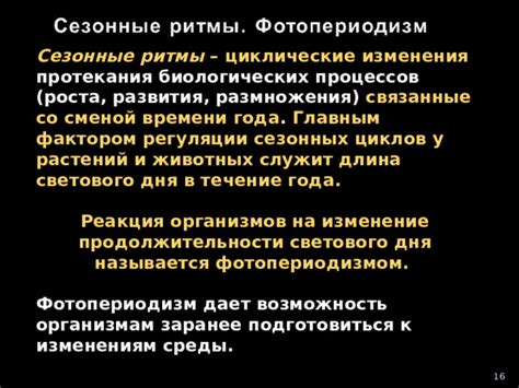 Значимость дня эквинокса в увеличении светового времени