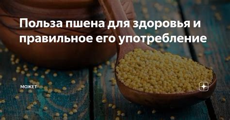 Значимость и употребление сегодня