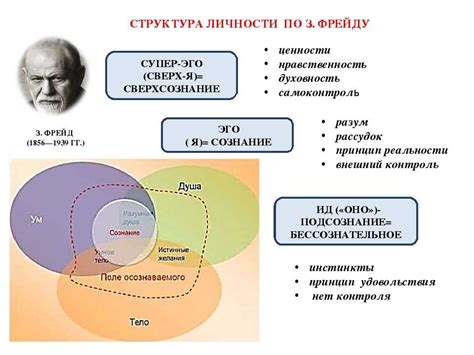 Значимость снов в психологии: ключевые концепции и учения