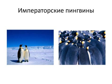 Значимость труда