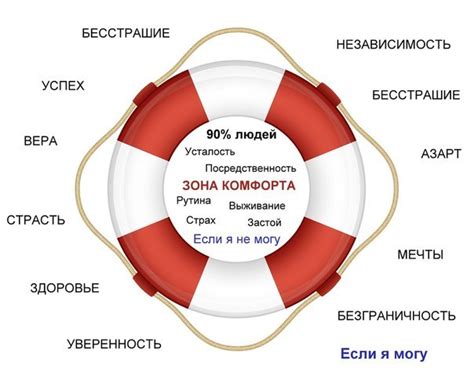 Зона комфорта и охота: показатели активности и настроения