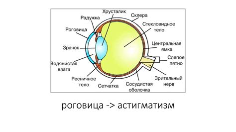 Зрение как ключевая модальность