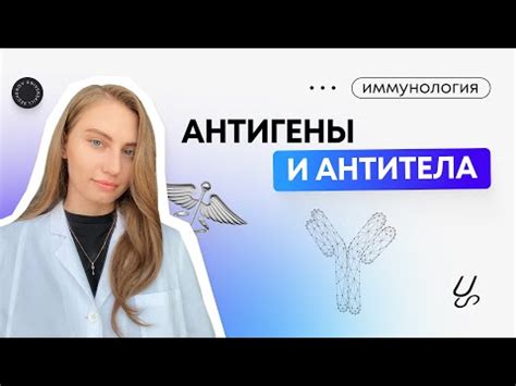 ИГГ-антитела: что они показывают?