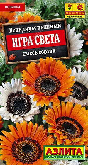 Игра цветов и света