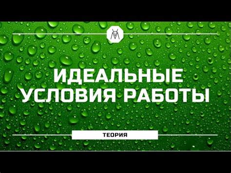 Идеальные условия для работы "невпроворот"