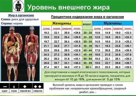 Идеи о возможных значений потери жира у человека в сновидении