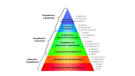 Идентификация внутренних потребностей