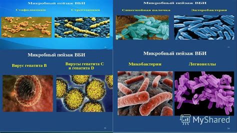 Идентификация возбудителей