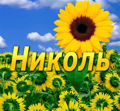 Известные личности с именем Николь