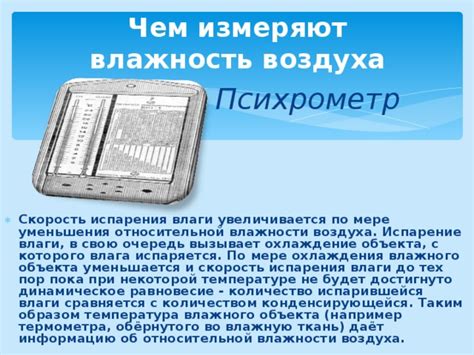 Излишнее количество влаги: главная причина влажного вилли