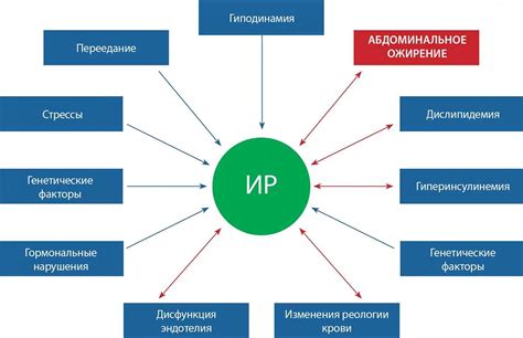 Изменение СоE у женщин: влияющие факторы и эффекты