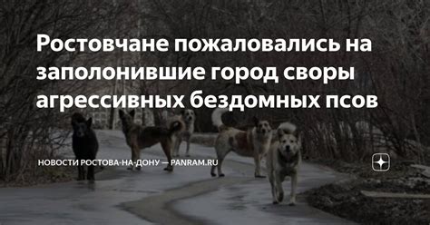 Изменение значения сновидений о группе бездомных псов