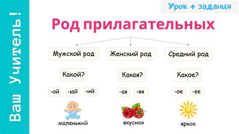 Изменение прилагательных: процесс и значение