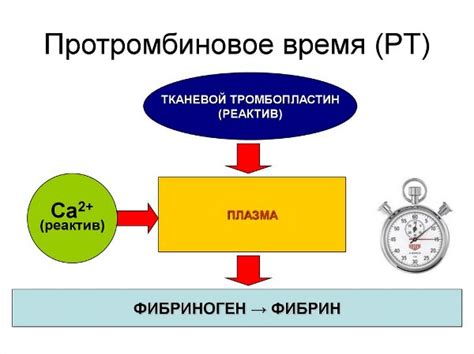 Изменения, связанные с уменьшением протромбинового времени