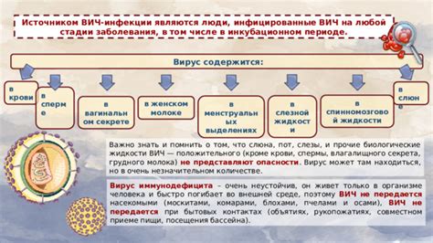 Изменения в вагинальном дисбиозе