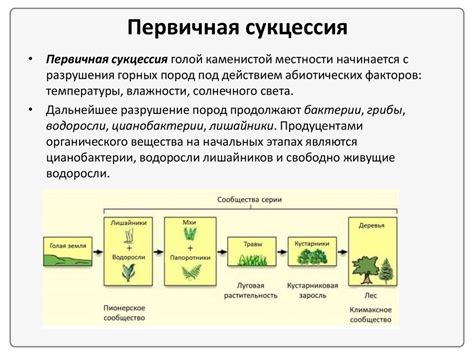 Изменения экосистем