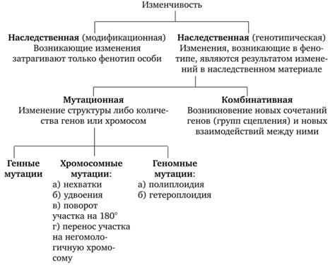 Изменчивость почерка: причины и значение