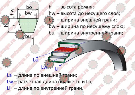 Измерение размера ремня