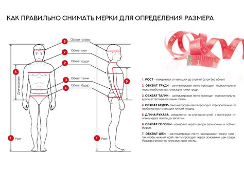 Измерения и размеры: как правильно снять мерки