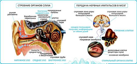 Изолирование от шума