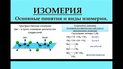 Изомеры положения двойной связи: что это такое?