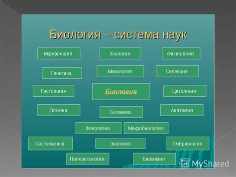 Изучение биологии начинается с предмета "Основы биологии"