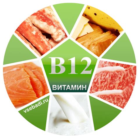 Изучение влияния витамина В12