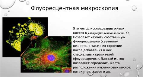 Изучение гистологии в онкологии: понятие и важность