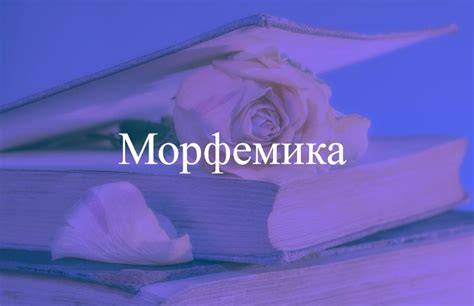 Изучение морфем: