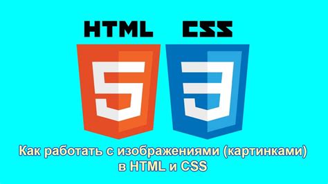 Изучение основ HTML