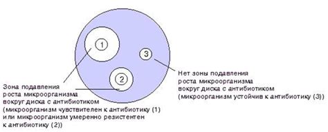 Изучите методы повышения чувствительности