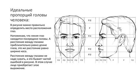 Изящная линия и пропорции