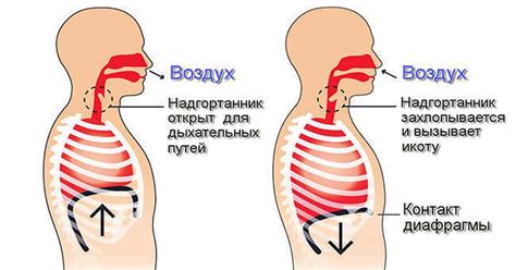 Икота как рефлекс и способ коммуникации