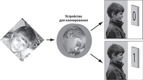 Иллюзия случайности