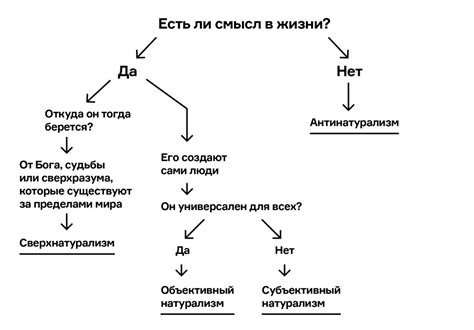 Иллюстрации из жизни: каков смысл светской жизни в наше время?