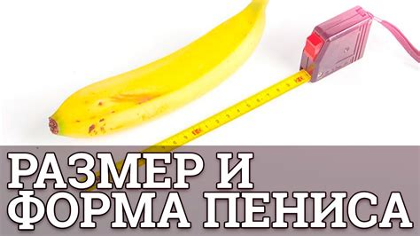 Имеет ли значение размер и форма