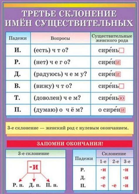 Имена существительные: смысл и правила склонения